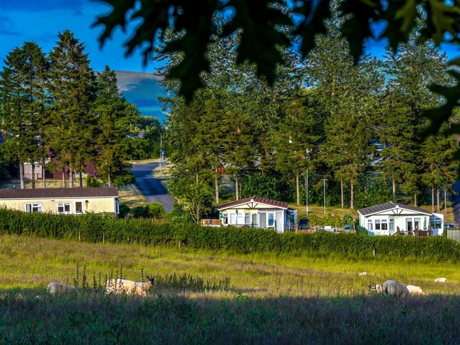 Llewelyn Park View from the field
