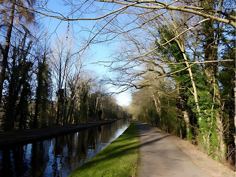A scenic view of a Llangollen canal lined by Trees, grassed edges and the Towpath.