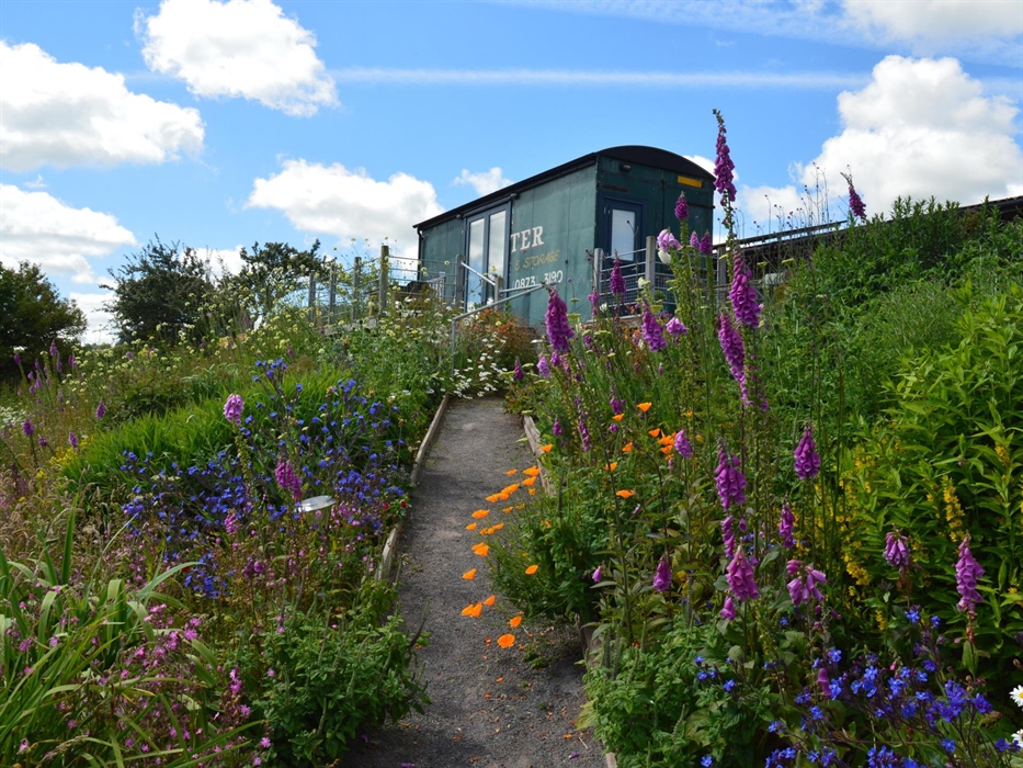 Gorgeous gardens by Jeni Arnold