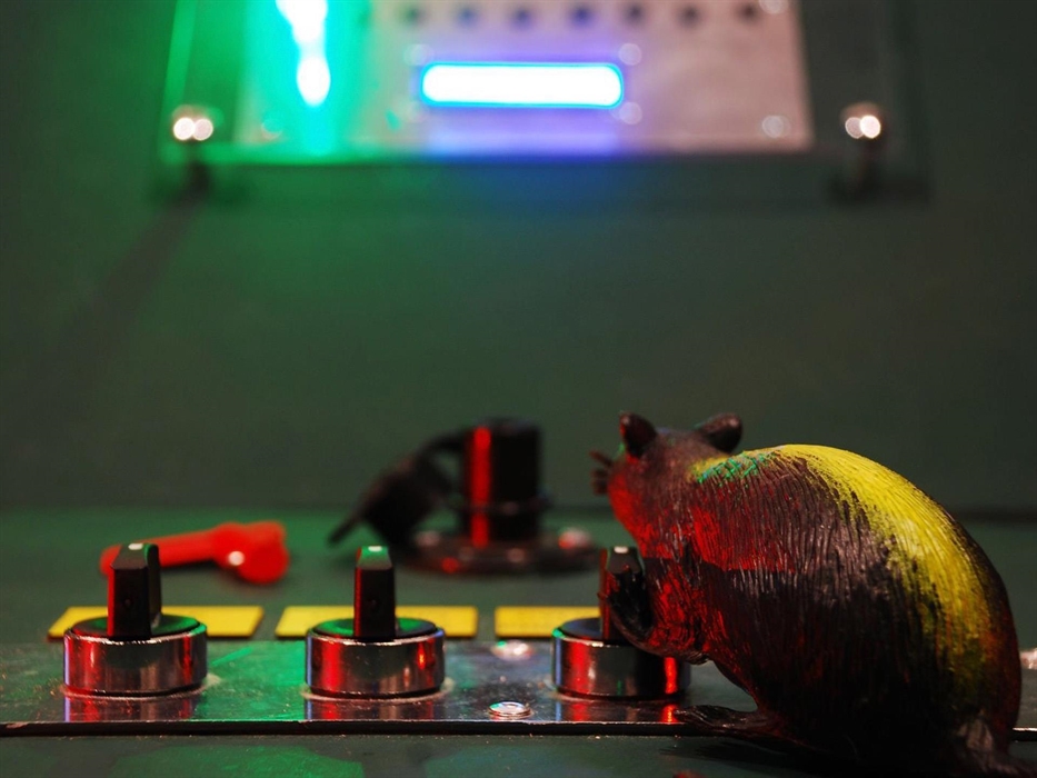 A toy rat is pictured holding a switch on a control panel.