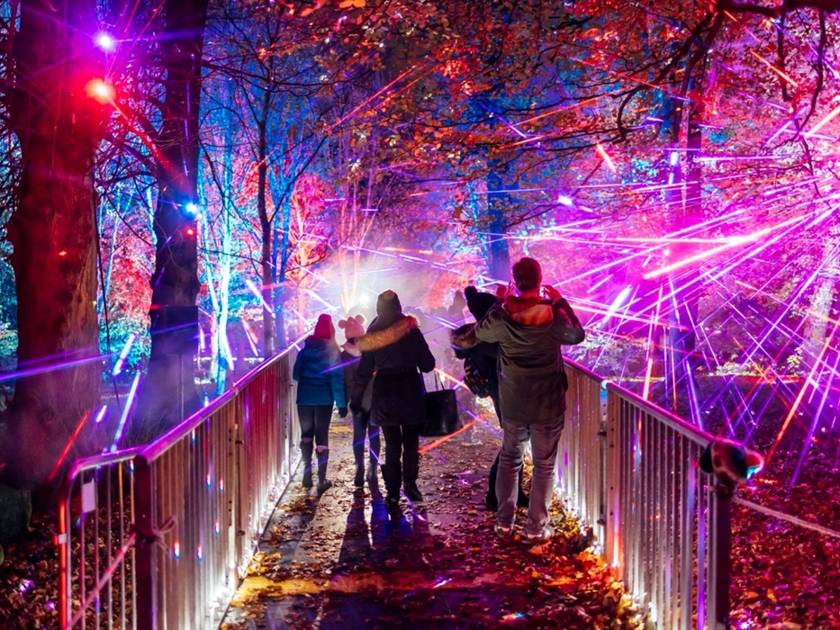 Image Credit: Bute Park