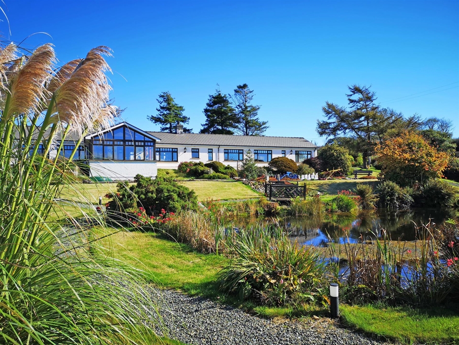Ael y Bryn in summer; blue sky, pond and surrounding gardens; Pampas grass on the left.