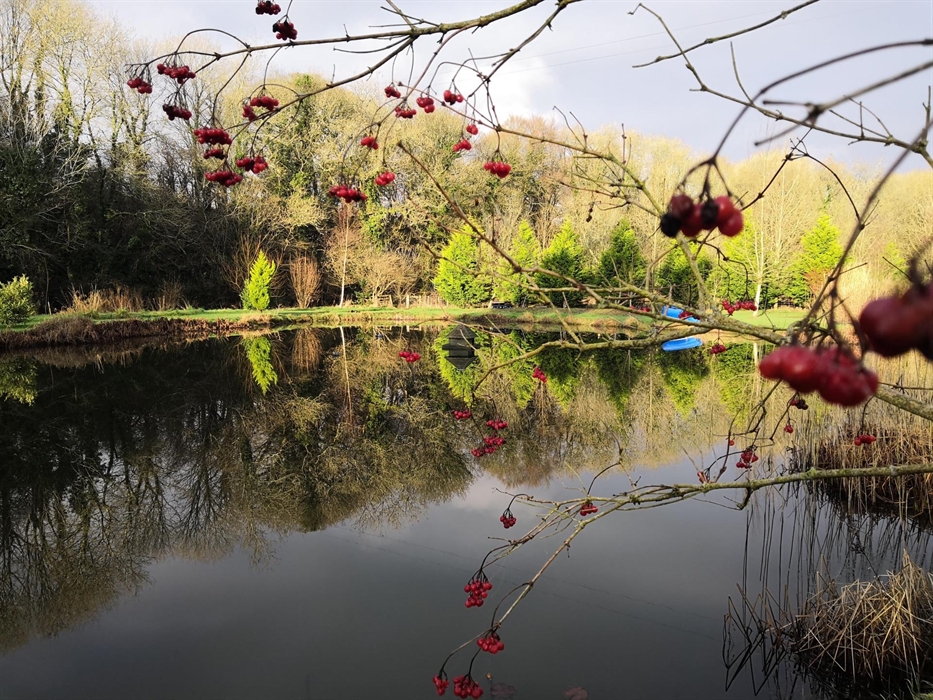 9 acres of dog friendly grounds, lake, stream and woodland, plus garden area.