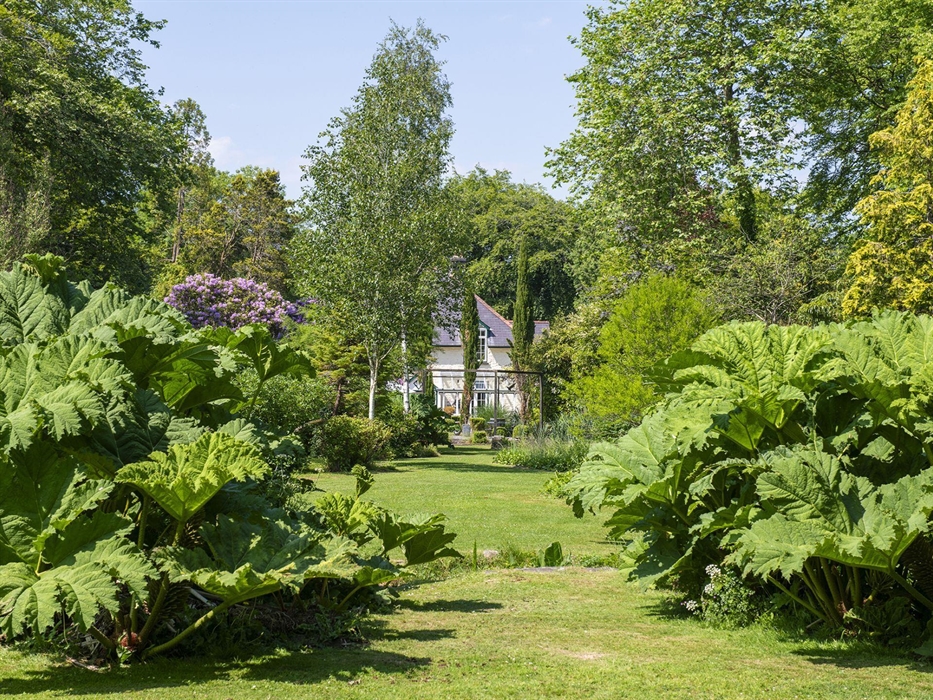 The Cors Country House