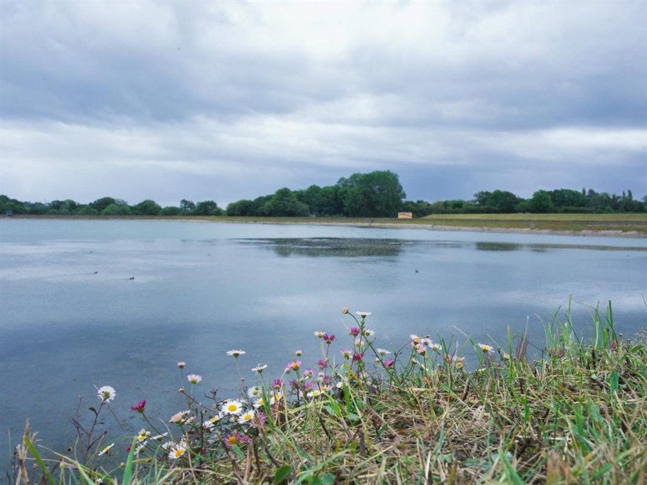Lisvane & Llanishen Reservoirs