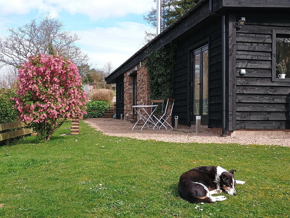 We love our guests to bring their pets.