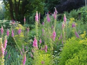 Photo by Natalie Parrott