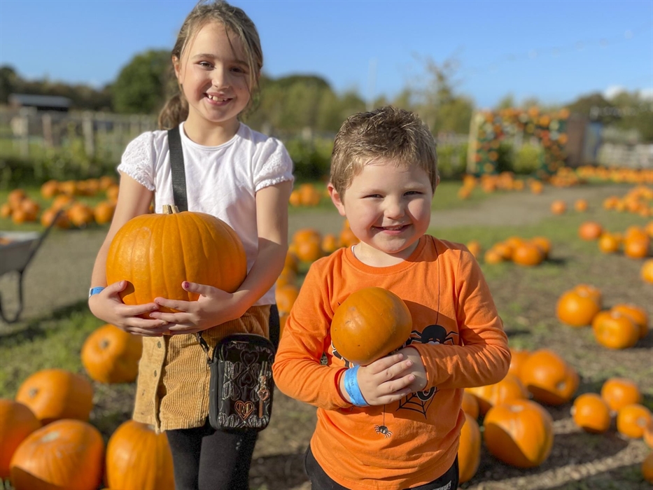 PYO Pumpkin at the patch!