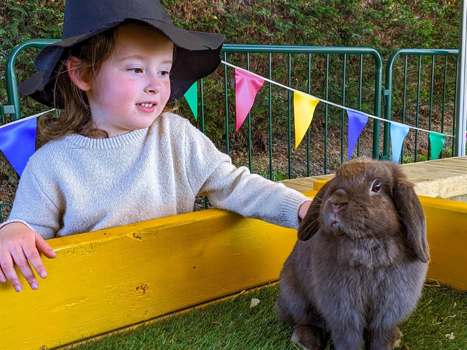 Enjoy farm park admission included in your tickets