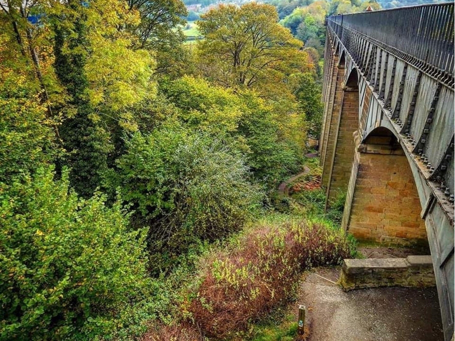 A view of the Poncysyllte Aqueduct edged by trees.