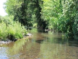 Rossett and Gresford Flyfishers Club