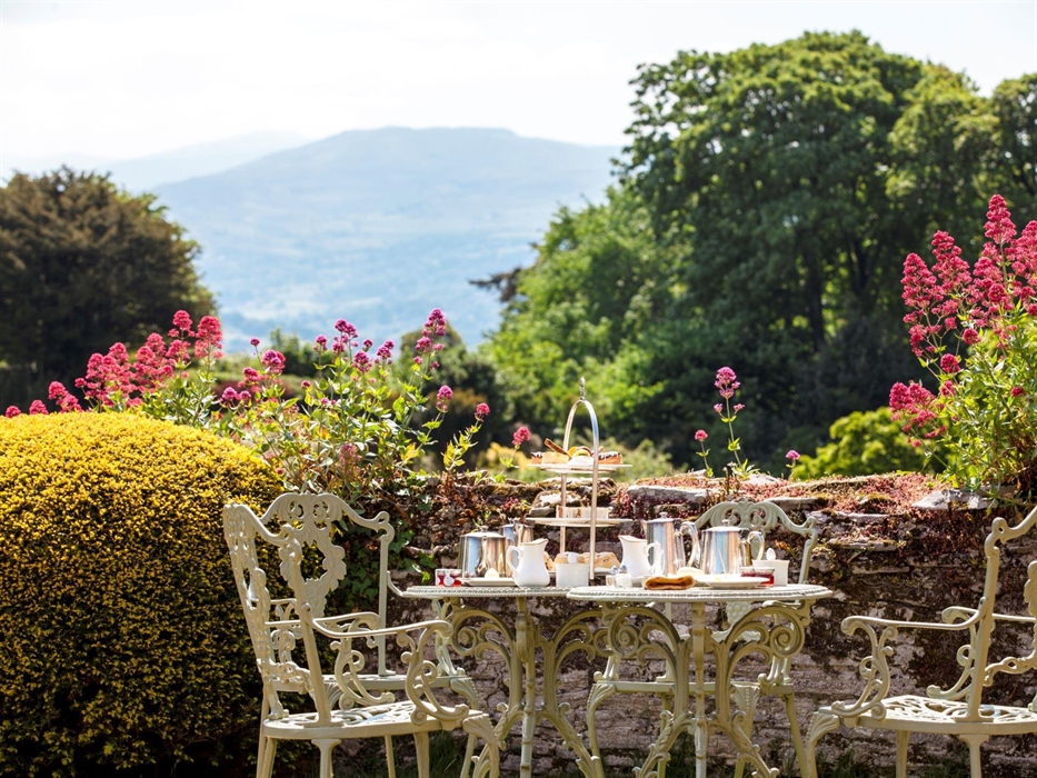 Afternoon Tea served on the grassed terrace overlooking the gardens