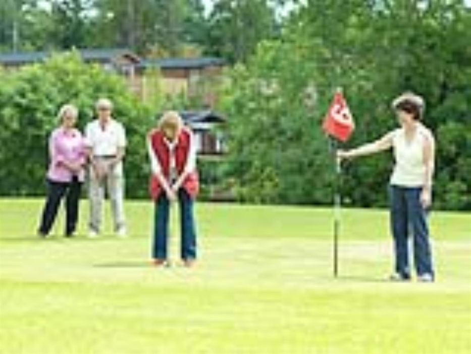 Golf at Dolgead Hall