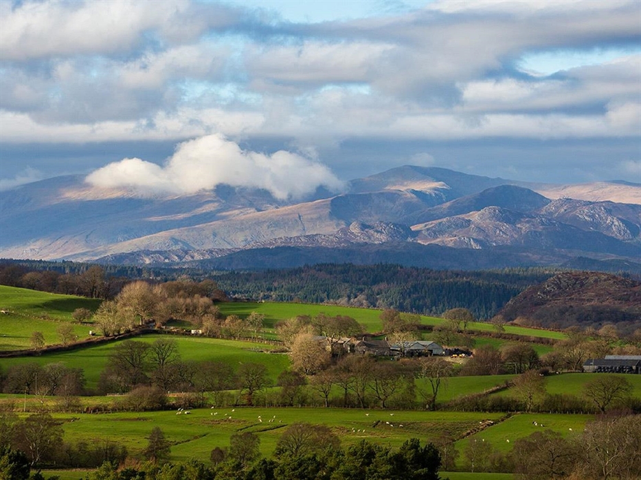 View from Gwernouau Cottage