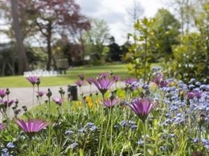 Cardigan Castle Gardens