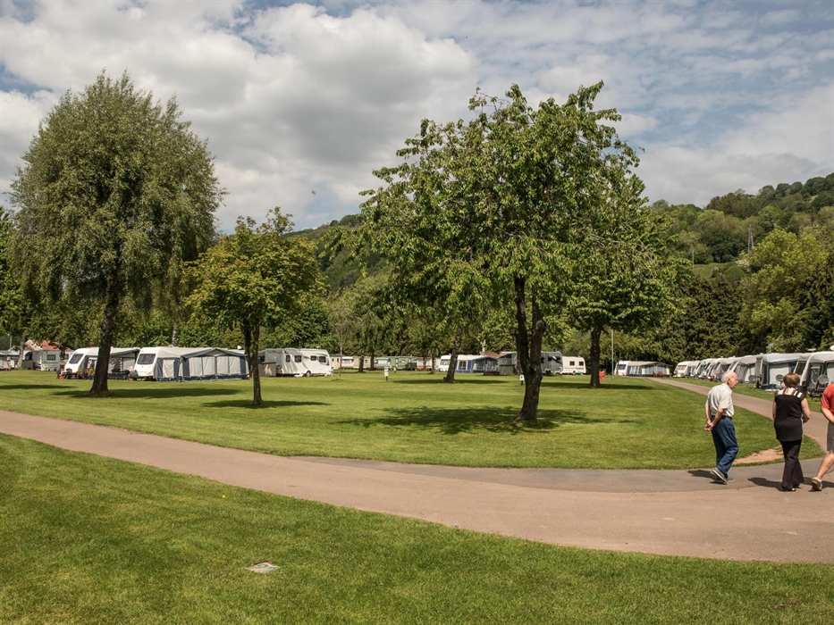 Plenty of trees for shelter
