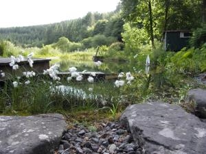 Photo by Sue Mabberley