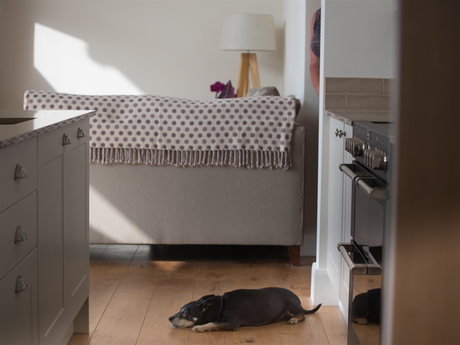 Pets can come too in Shepherd's Rest