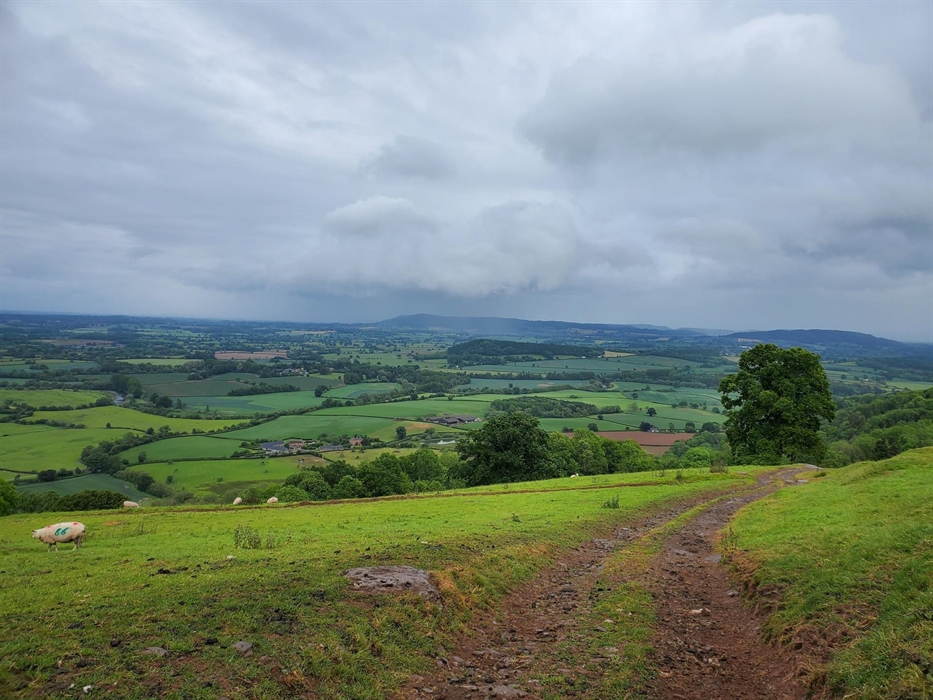 Looking over the mountain range, with fields in landscape and farm path going off to the right