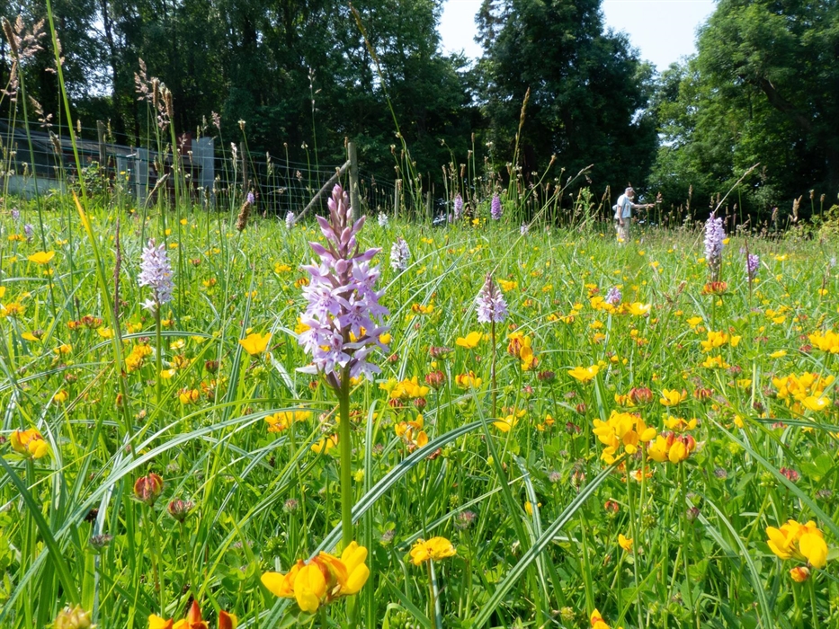 Treborth Botanic Garden
