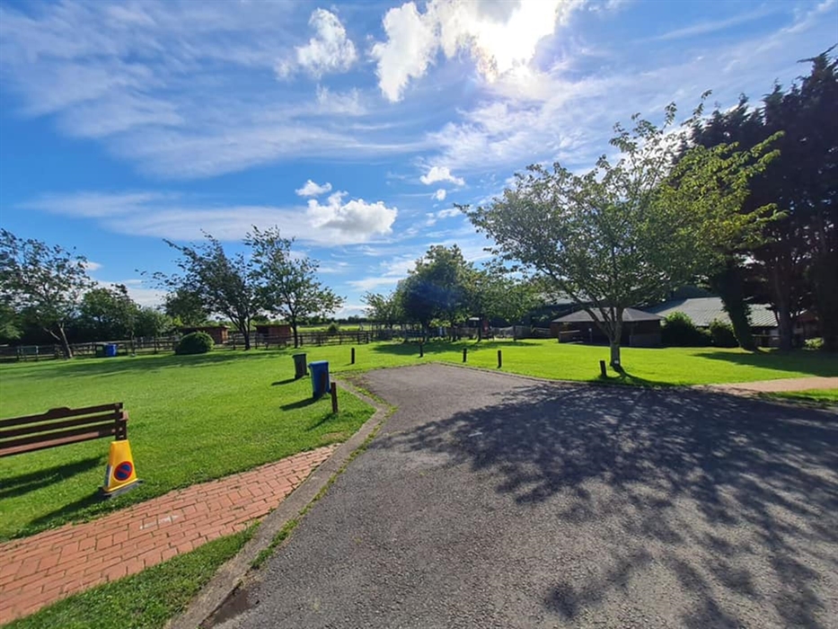 The grounds of Amelia Trust Farm. Green grass with trees, bright blue sky, and white fluffy clouds.