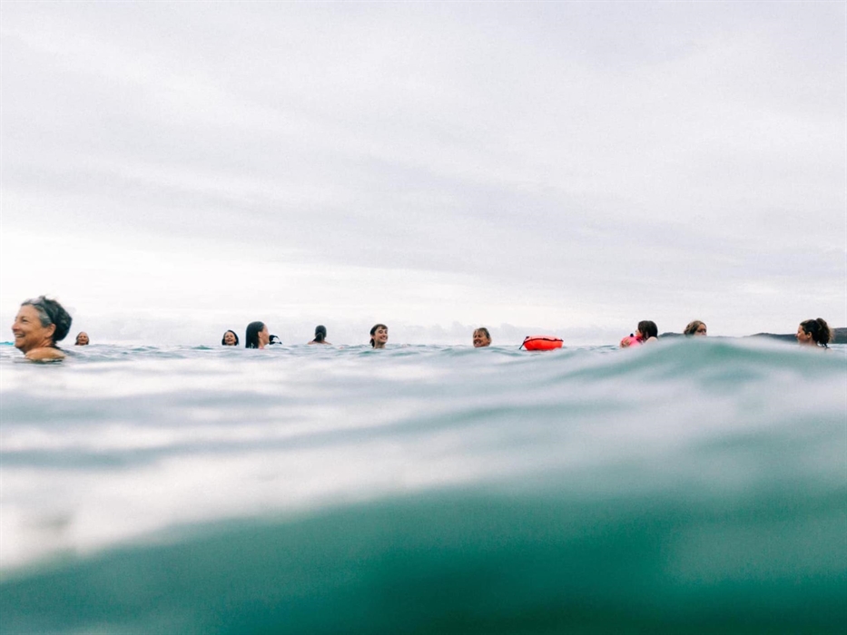 Bluetit Wild Swimming Adventures