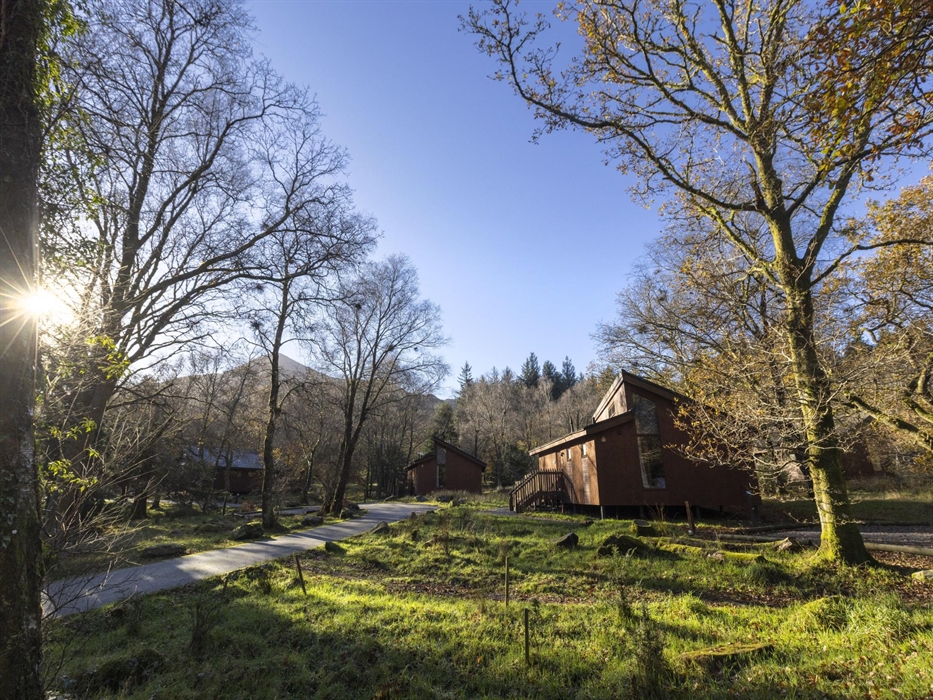 A cabin amongst the trees at Beddgelert, Eryri
