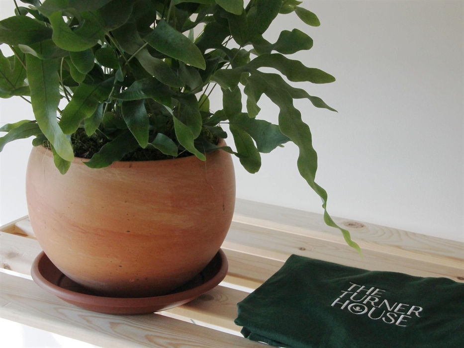 Photography by Kate Woodward