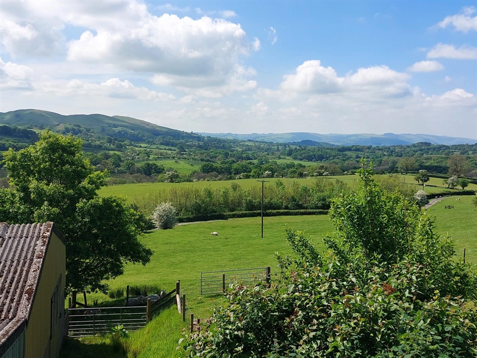 Panoramic views from windows of Granary cottage. Great walking, wildlife, dog walking