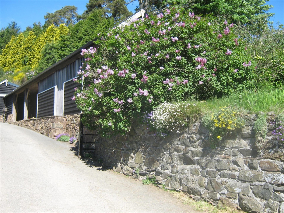 Entrance to courtyard leading to self catering Granary Cottage, plenty of parking.