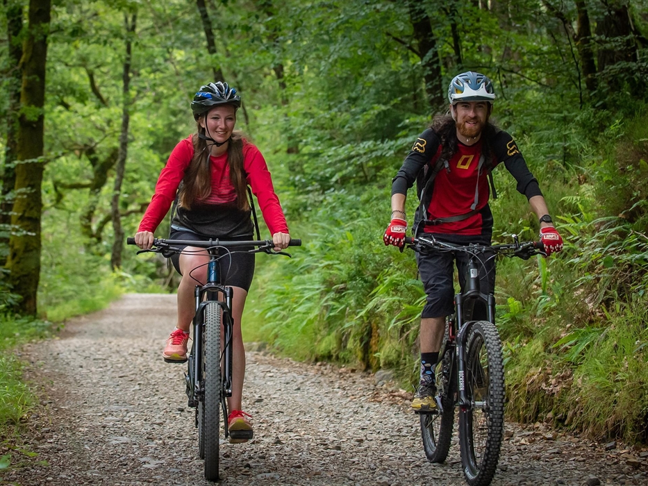 Yr Afon Trail Coed y Brenin