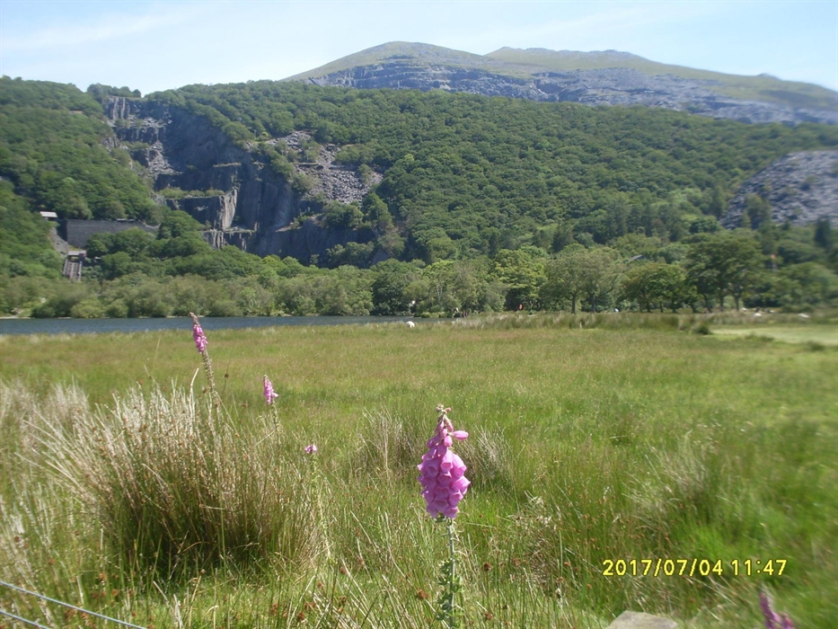 Lake side walk to Padarn Country Park and National Slate Museum.