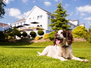 Gardens & Pet Friendly