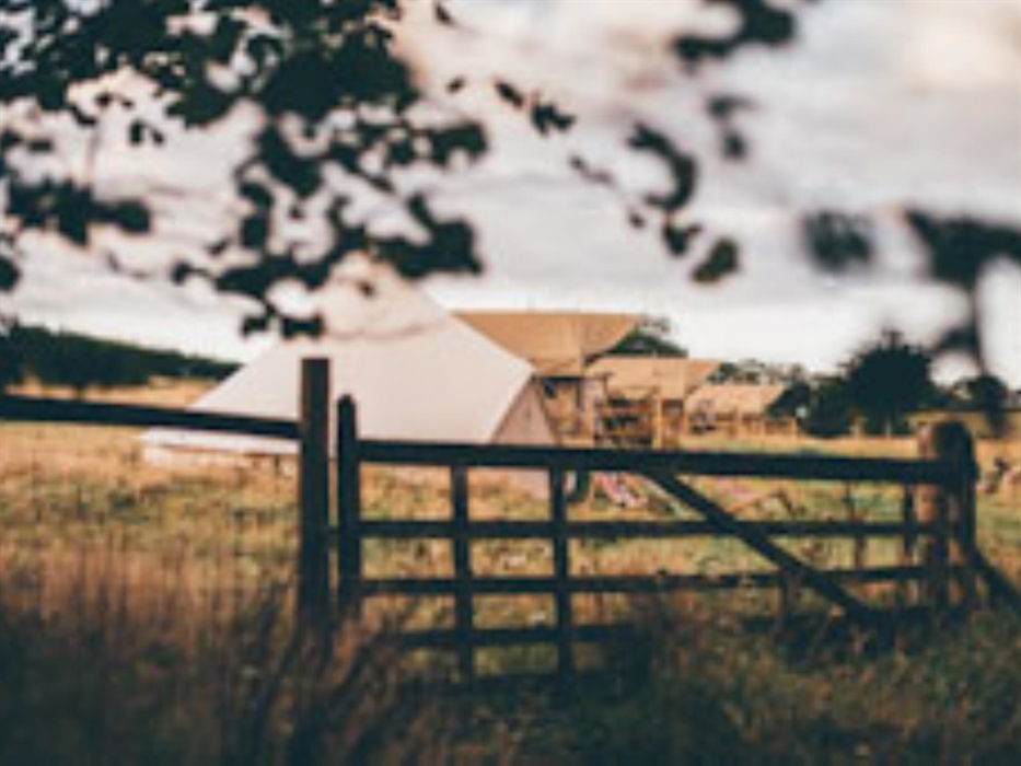 Tents on Nantseren private meadow
