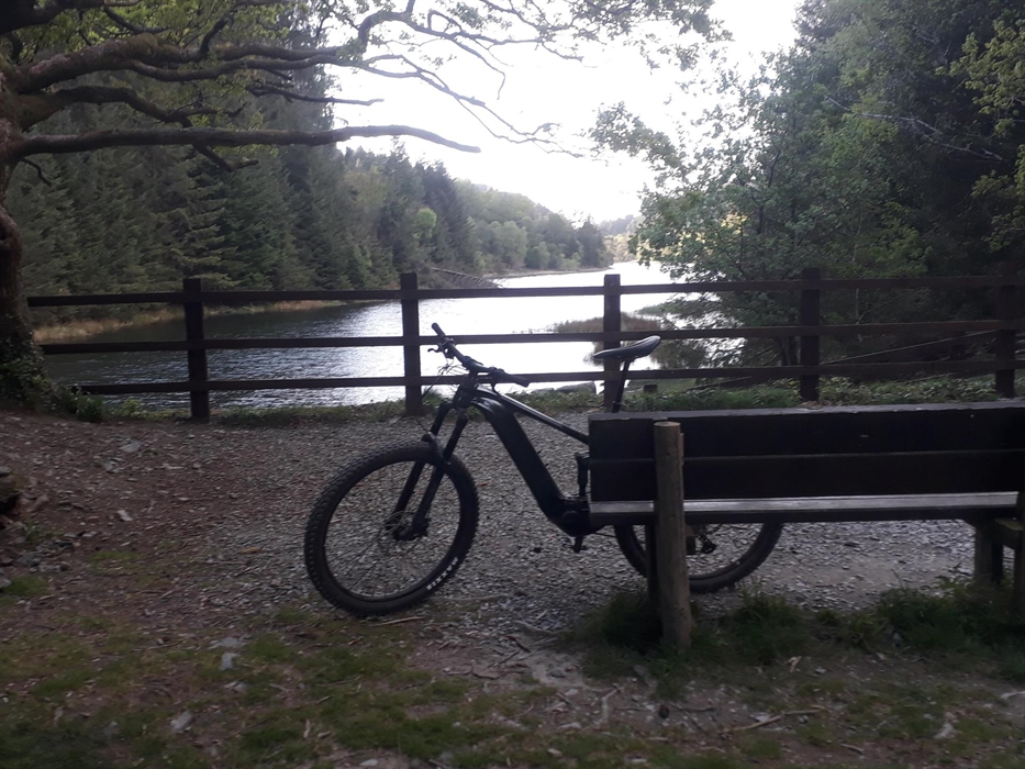 Out on the Marin trail.
