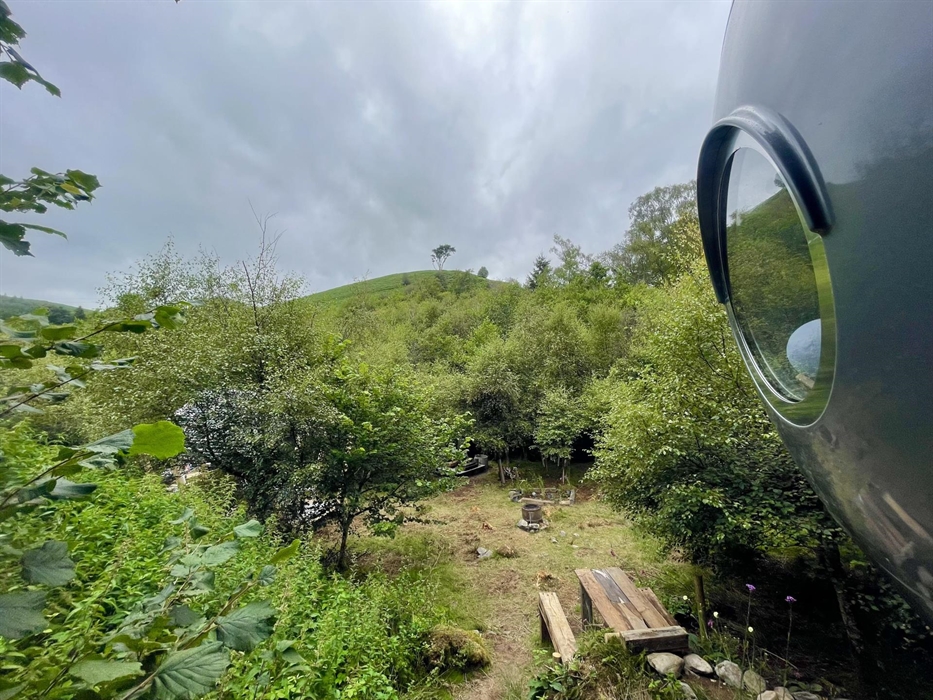 Your view each morning...