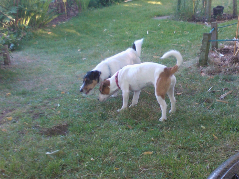 Exploring the garden