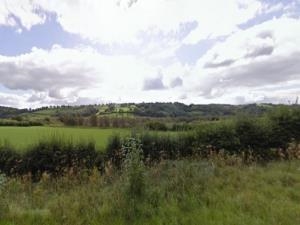 Cors Goch Llanllwch Nature Reserve