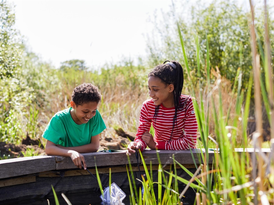 A boy and girl hold nets and look into the ponds to see what creatures they can find.