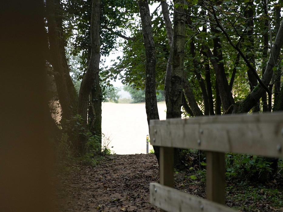 Merthyr Mawr dunes through the trees
