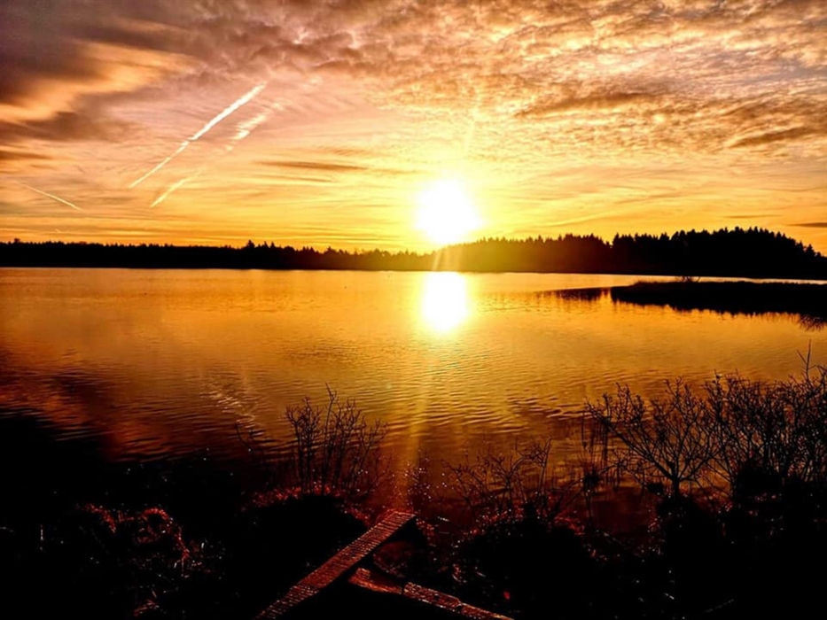 Llyn Llech Owain Country Park