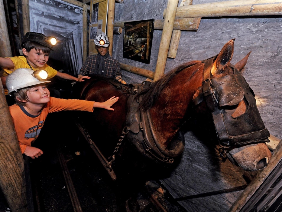 Sparky our life size model of a pit pony