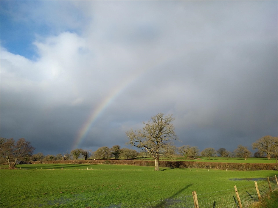 View to Dinefwr castle