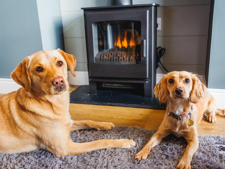 Two dogs, a yellow Labrador and yellow springer spaniel laying on a grey pet rug in front of wood burning stove.