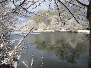 A stunning view across a Trout Pool in winter