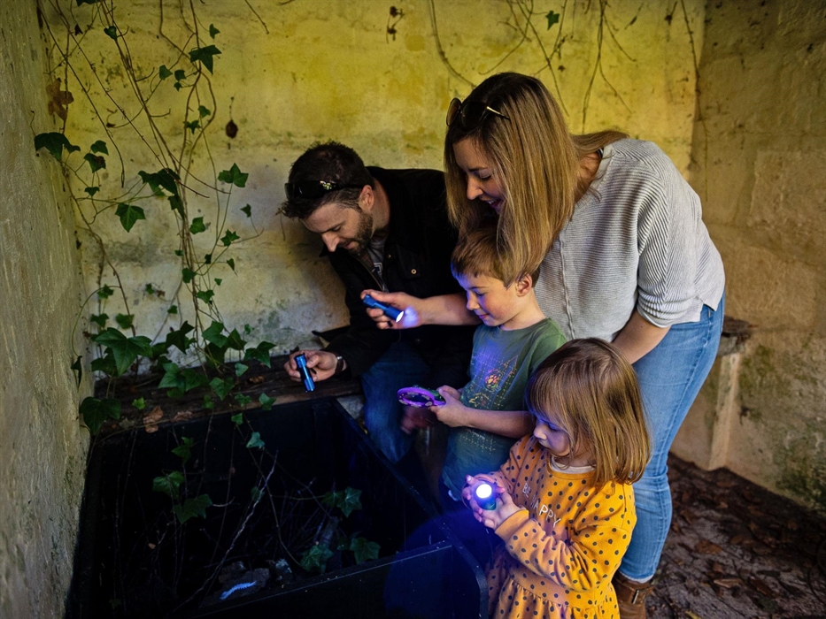 Autumn family visits to Dyffryn Gardens