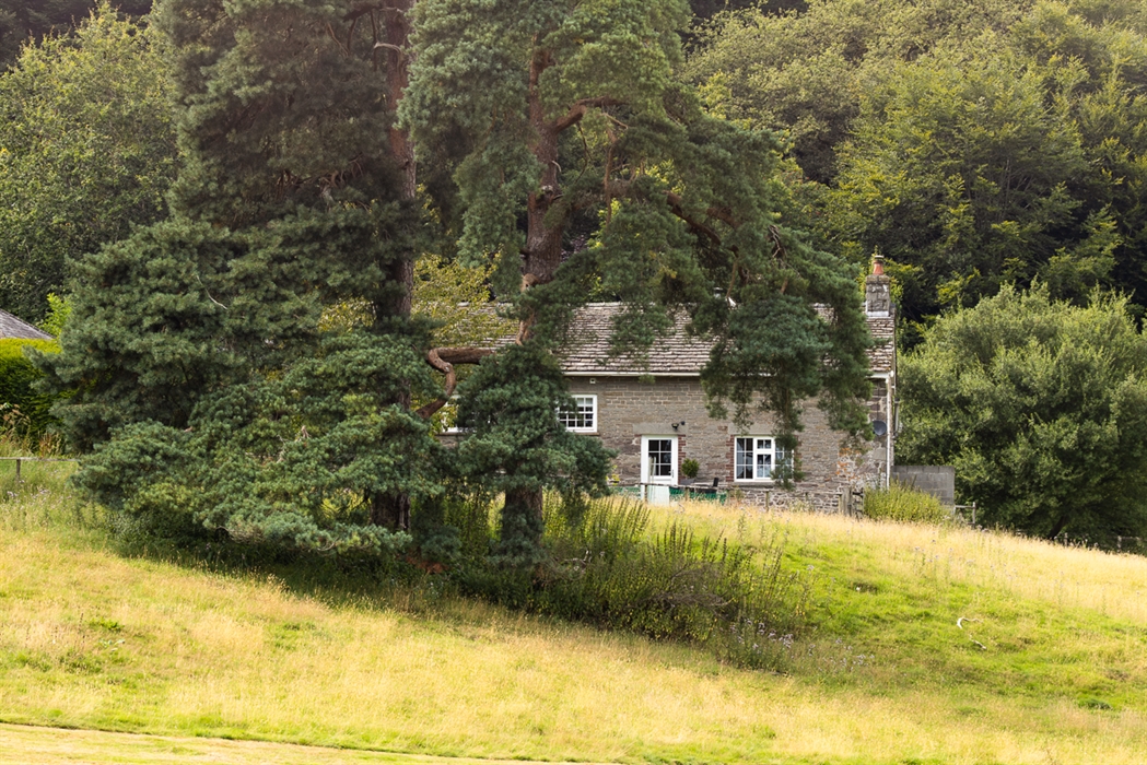the Library Cottage at Glanusk estate tucked behind trees