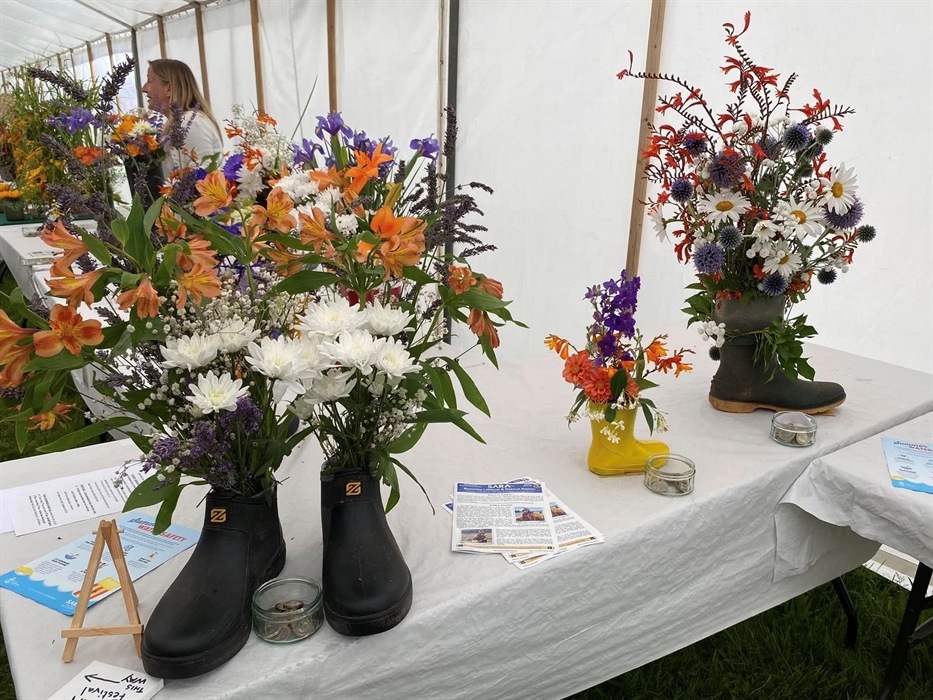 Chepstow Show