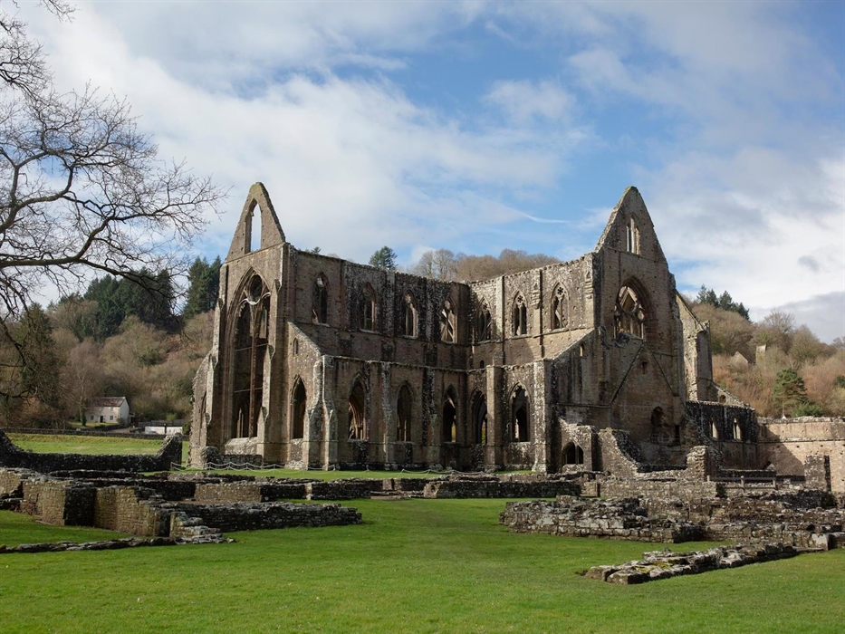 Ruined Abbey