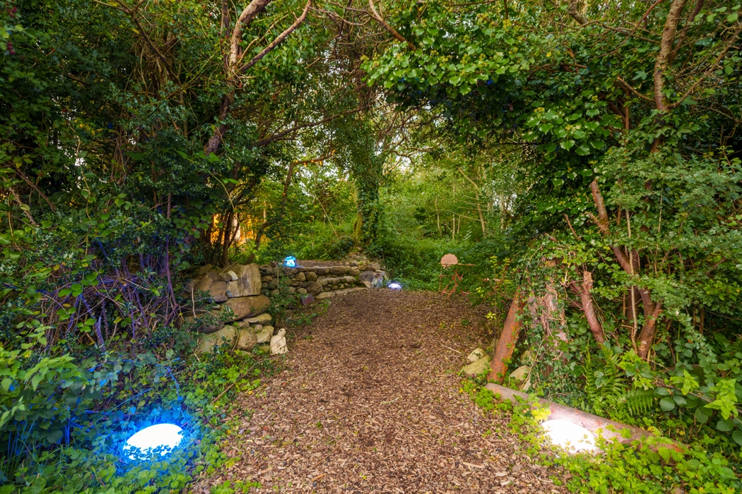 Woodland path with solar lights